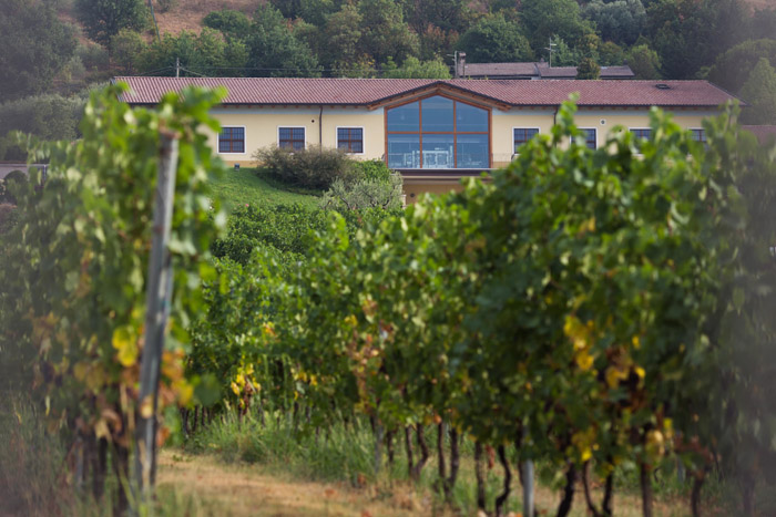 CANTINE APERTE: CALINVERNO SI DEGUSTA A TUTTO TONDO