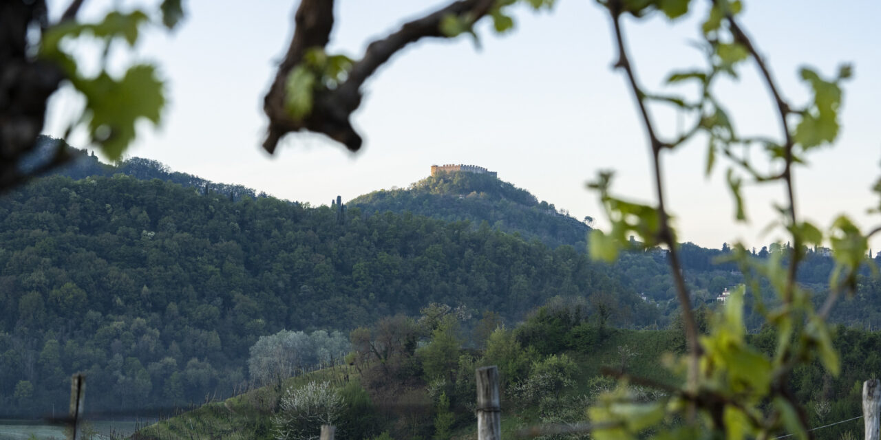 ASOLO PROSECCO, AL VIA IL NUOVO PIANO DEL “CRU” DI COLLINA