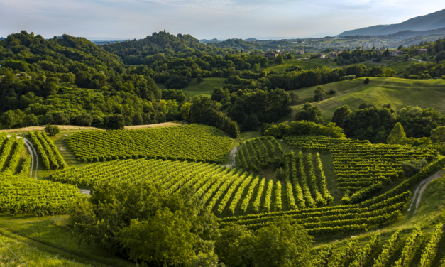 L’ASOLO PROSECCO E I VINI DEL MONTELLO INCONTRANO LE ECCELLENZE CASEARIE A CASEUS