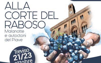 ALLA CORTE DEL RABOSO: A TREVISO TRE GIORNI CON AIS VENETO PER SCOPRIRE I VINI DEL PIAVE