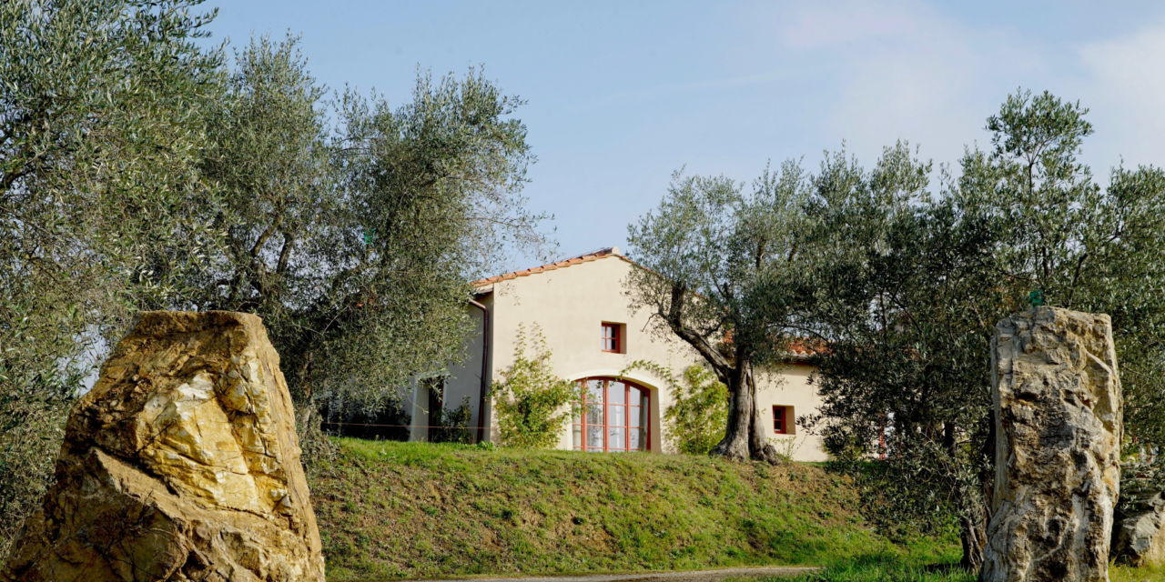 TENUTA LICINIA: ALLA RICERCA DEI VIGNETI DIMENTICATI DELLA VALDICHIANA