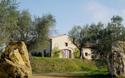 TENUTA LICINIA: ALLA RICERCA DEI VIGNETI DIMENTICATI DELLA VALDICHIANA