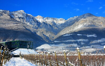 TORNA IL NATALE DEI CINQUE SENSI IN CANTINA TRAMIN