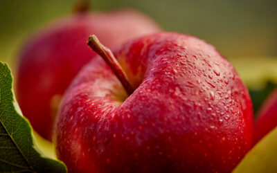 MAME – MORE APPLES MORE EUROPE: L’UNICITÀ E LA SOSTENIBILITÀ DELLA MELA DI VALTELLINA IGP PROTAGONISTA DELLE FIERE DI SETTORE