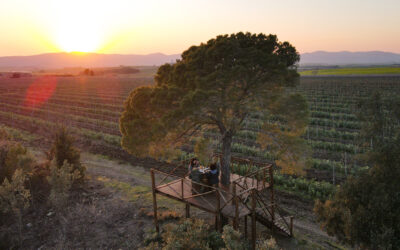 DEGUSTAZIONI IN ALTA MAREMMA: L’ESTATE DI GIANNI MOSCARDINI