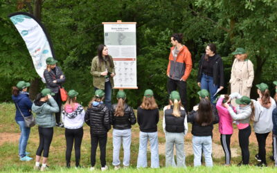 A MASER CRESCE IL BOSCO DI CECCHETTO: UN LABORATORIO DI BIODIVERSITÀ PER LE NUOVE GENERAZIONI