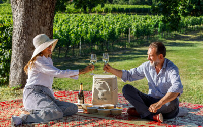 TORNA L’OSPITALITÀ DI MOSNEL: UN’ESPERIENZA DI GUSTO E BELLEZZA TRA I VIGNETI DI CAMIGNONE