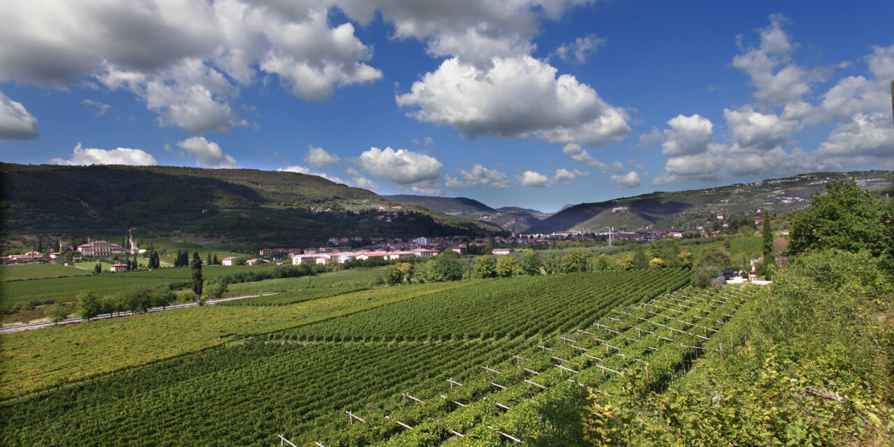 METTERE IN PRATICA LA SOSTENIBILITÀ: CANTINE DI VERONA SI CERTIFICA EQUALITAS