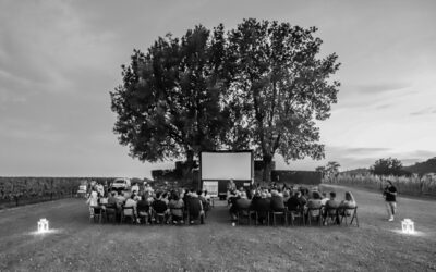 MOSNEL DI FRANCIACORTA: MASSIMO ZANICHELLI FIRMA UN VIAGGIO CINEMATOGRAFICO NELLA REALTÀ DI MOSNEL