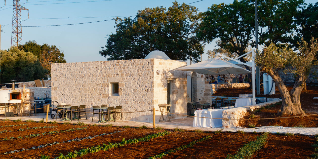 AMALBERGA APRE LA NUOVA SEDE A OSTUNI: UNA CANTINA MODERNA E SOTTERRANEA IN SIMBIOSI CON IL PAESAGGIO RURALE