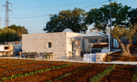 AMALBERGA APRE LA NUOVA SEDE A OSTUNI: UNA CANTINA MODERNA E SOTTERRANEA IN SIMBIOSI CON IL PAESAGGIO RURALE