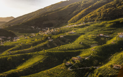 VAL D’OCA: UN AUTUNNO DI EVENTI TRA MUSICA, ARTE E SAPORI TRA LE COLLINE DI VALDOBBIADENE