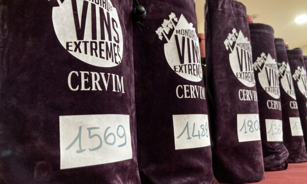 MONDIAL DES VINS EXTRÊMES 2024: NELL’EDIZIONE RECORD IL CERVIM PREMIA OLTRE 300 VINI