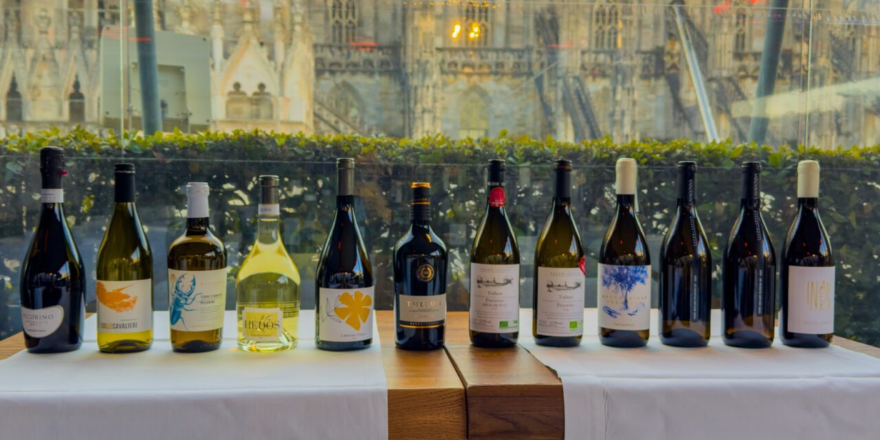 Cantina Tollo Group: al via il roadshow 10 Shades of Pecorino Grapes per far conoscere il pecorino nel mondo