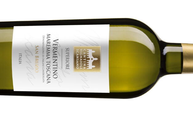 Lunga vita al vermentino: Cantina Vignaioli del Morellino di Scansano presenta San Bruzio Vermentino Superiore Maremma Toscana Doc 2023